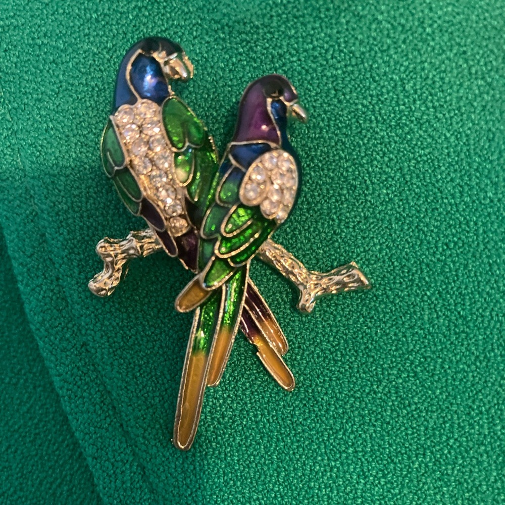 Amrita Singh Parakeet Pin
